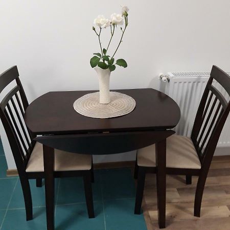 Sara House Apartment Bistriţa Екстериор снимка