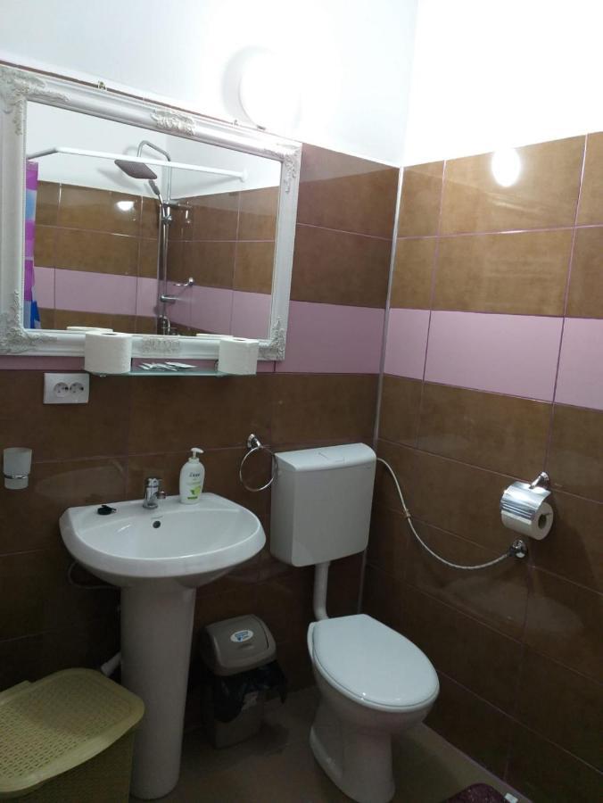Sara House Apartment Bistriţa Екстериор снимка
