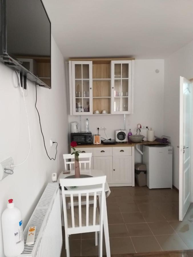 Sara House Apartment Bistriţa Екстериор снимка