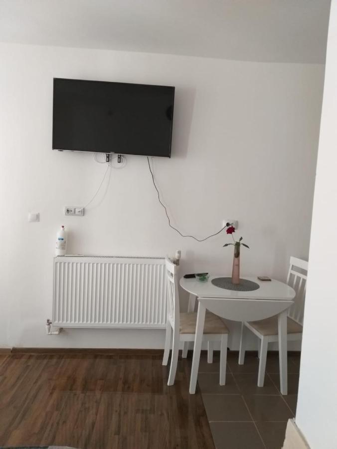 Sara House Apartment Bistriţa Екстериор снимка