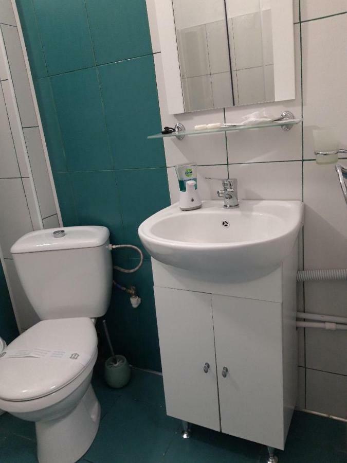 Sara House Apartment Bistriţa Екстериор снимка