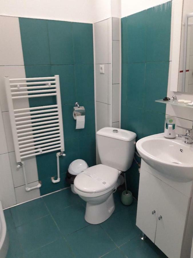 Sara House Apartment Bistriţa Екстериор снимка