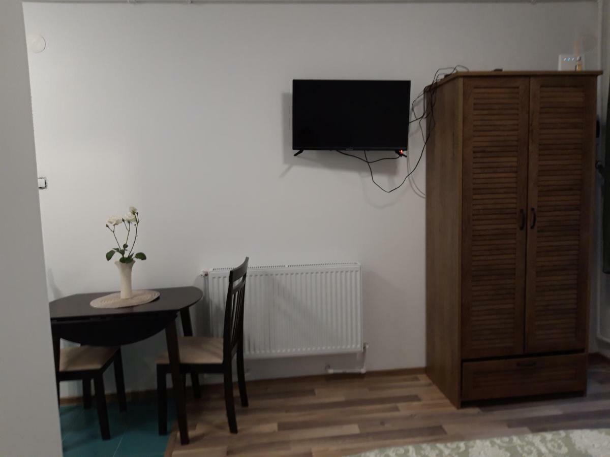 Sara House Apartment Bistriţa Екстериор снимка