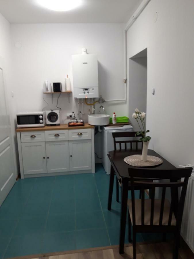Sara House Apartment Bistriţa Екстериор снимка