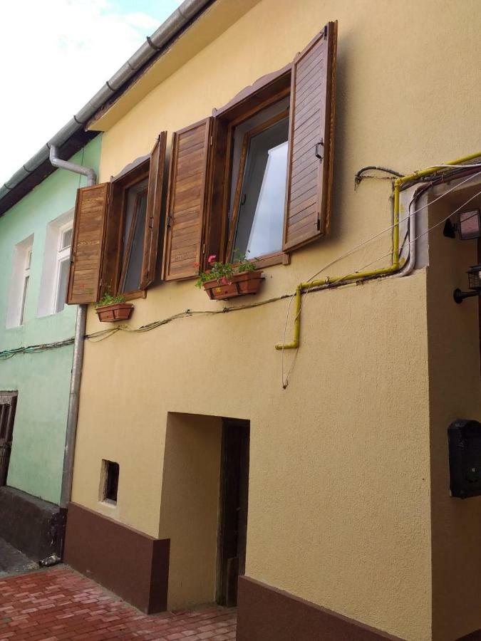 Sara House Apartment Bistriţa Екстериор снимка