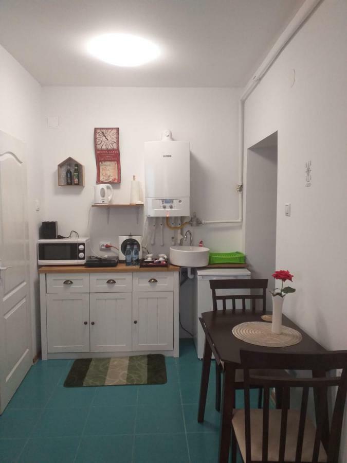 Sara House Apartment Bistriţa Екстериор снимка